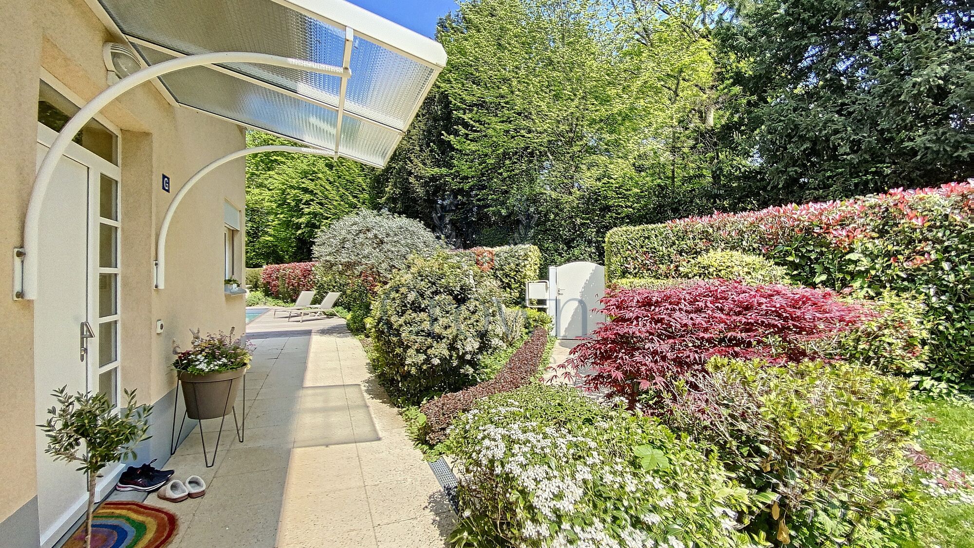 Picture 4