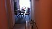 VENDU En plein centre de Leysin : appartement surplombant la Coop