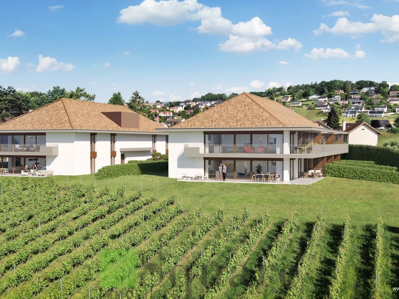 Magnifique 2,5 pièces dans une nouvelle résidence au cœur des vignes