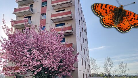 Wohnung CH-1752 Villars-sur-Glâne, Route de Villars-Vert 27