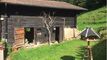 Au-dessus du village du Sépey : Chalet + rural dans leur havre de paix