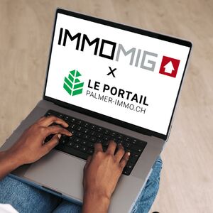 Neue Schnittstelle zu palmer-immo.ch !
