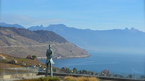 SELTEN: Baugrundstück mit Panoramablick im Herzen von Lavaux, in der N