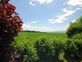 Villa de plain-pied dans un environnement campagnard