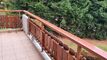 Condominium apartment CH-3963 Crans-Montana, Route de Marigny 17