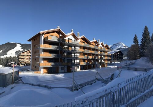 Warehouse CH-1619 Les Paccots, La Dent de Lys
