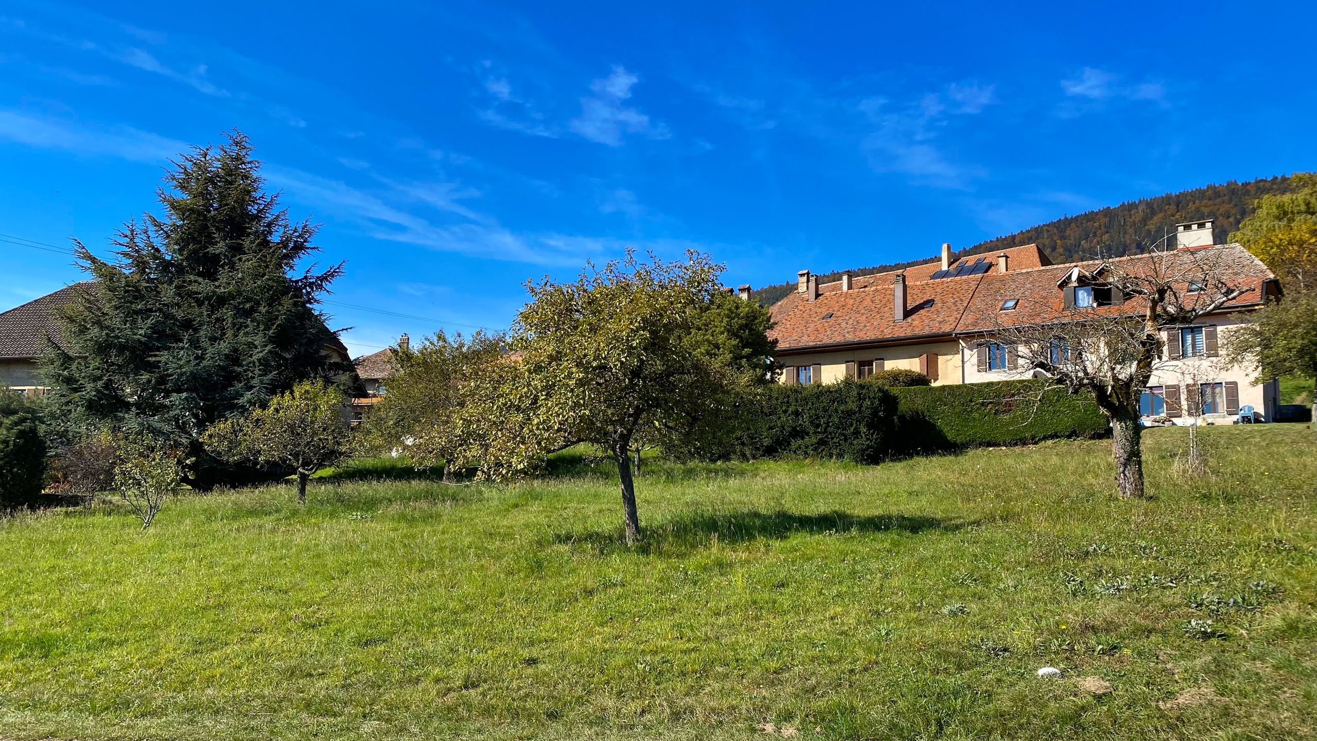 Projet immobilier à Provence avec villas à vendre, le terrain