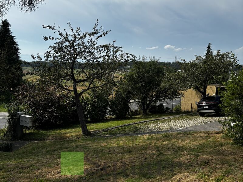 Terrain libre de mandat