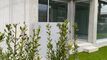 Residential building CH-6987 Caslano