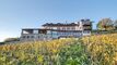 Situation rare dans les vignes du LAVAUX : grande maison face au lac