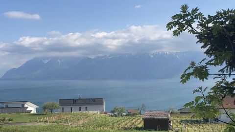 Panoramic buildable plot in the heart of Lavaux, close to tansports