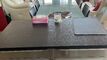 Condominium apartment CH-3963 Crans-Montana