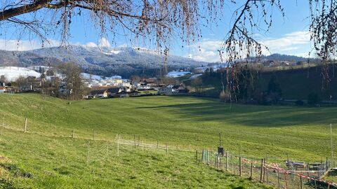 Terrain avec une splendide vue