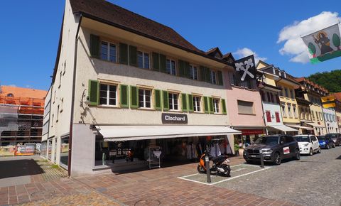 Spacious apartment with communal roof terrace in the heart of Laufen