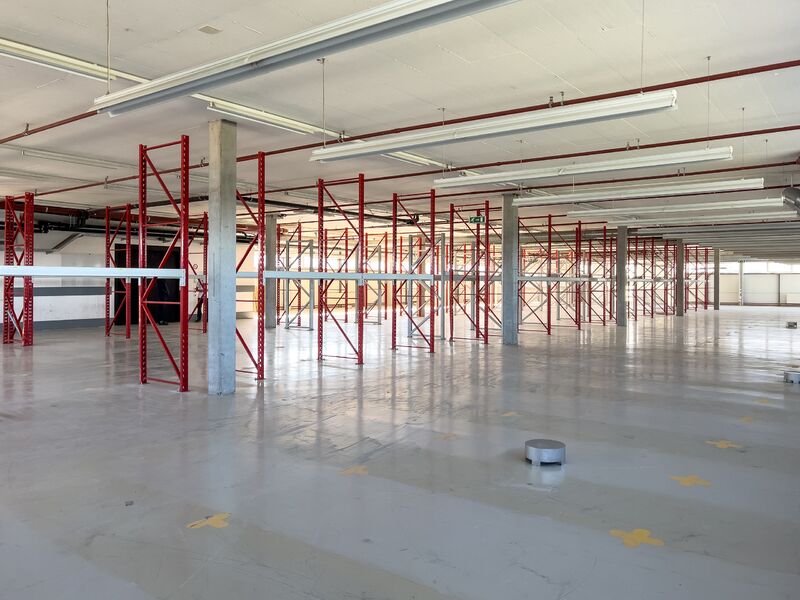 FOR RENT - Magnificent mixed surfaces of 1,150 m²