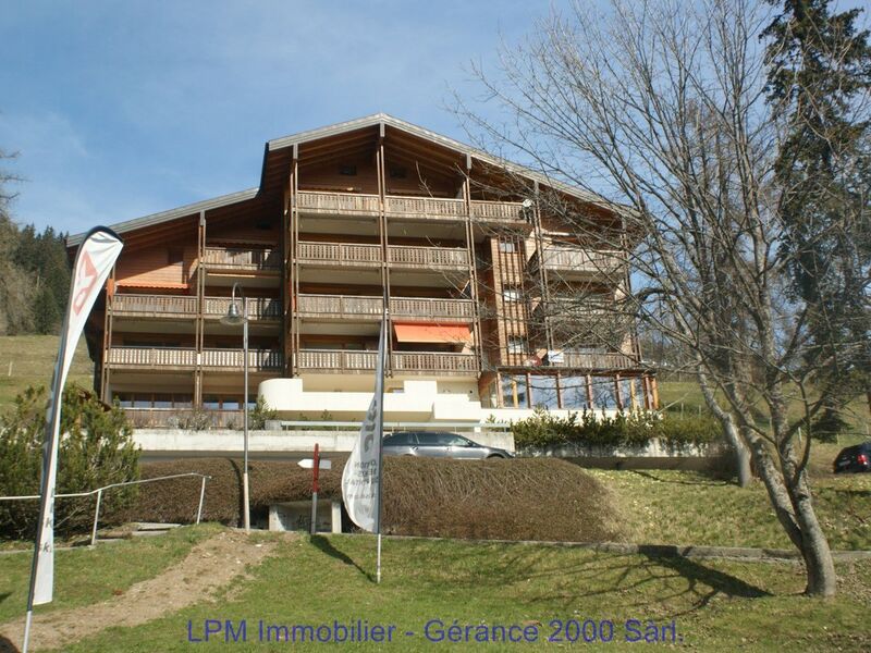 leysin, cosy studio for rent