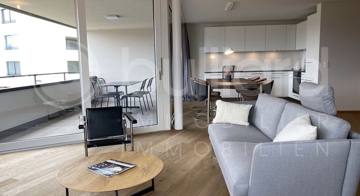 Appartements 2½ p neufs au Briegli Park Guin