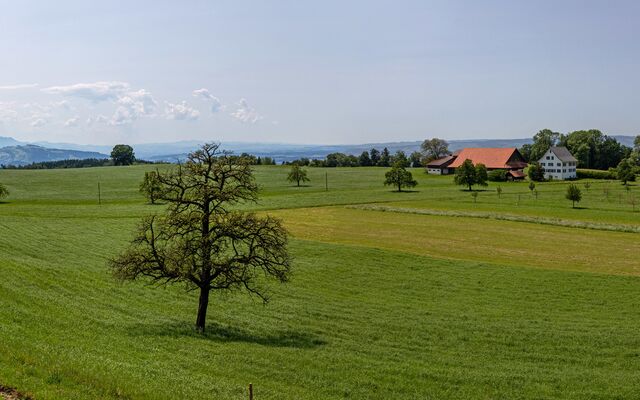 Approved New Construction Project - Farmhouse with 4388 m2 plot
