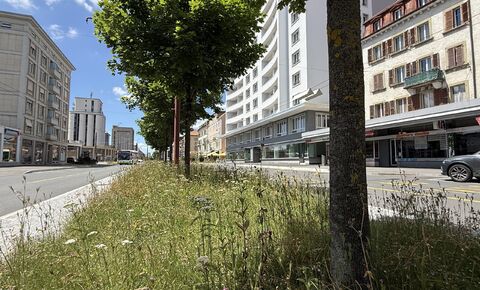 VENDU HORS MARCHE I OFFRE RESERVEE AUX CLIENTS PIMM