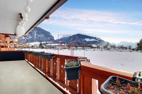 Vue depuis le grand balcon