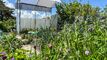 Reiheneinfamilienhaus mit Garten