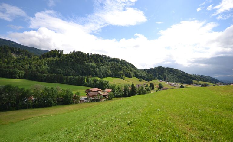 Terrain de 6'771 m² à bâtir
CHF 220.-/m²
