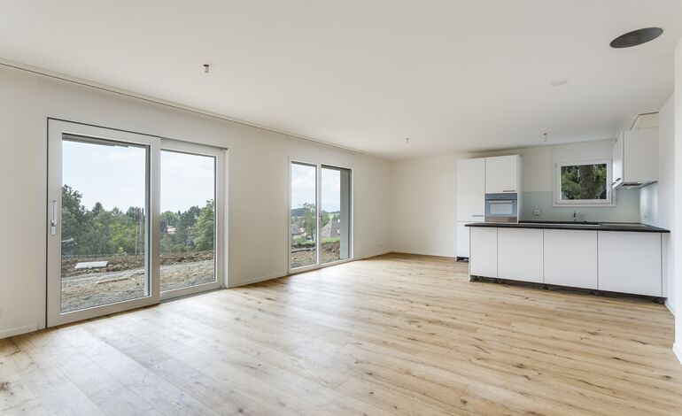 Bel appartement neuf de 4.5 pièces avec jardin et dégagement lac