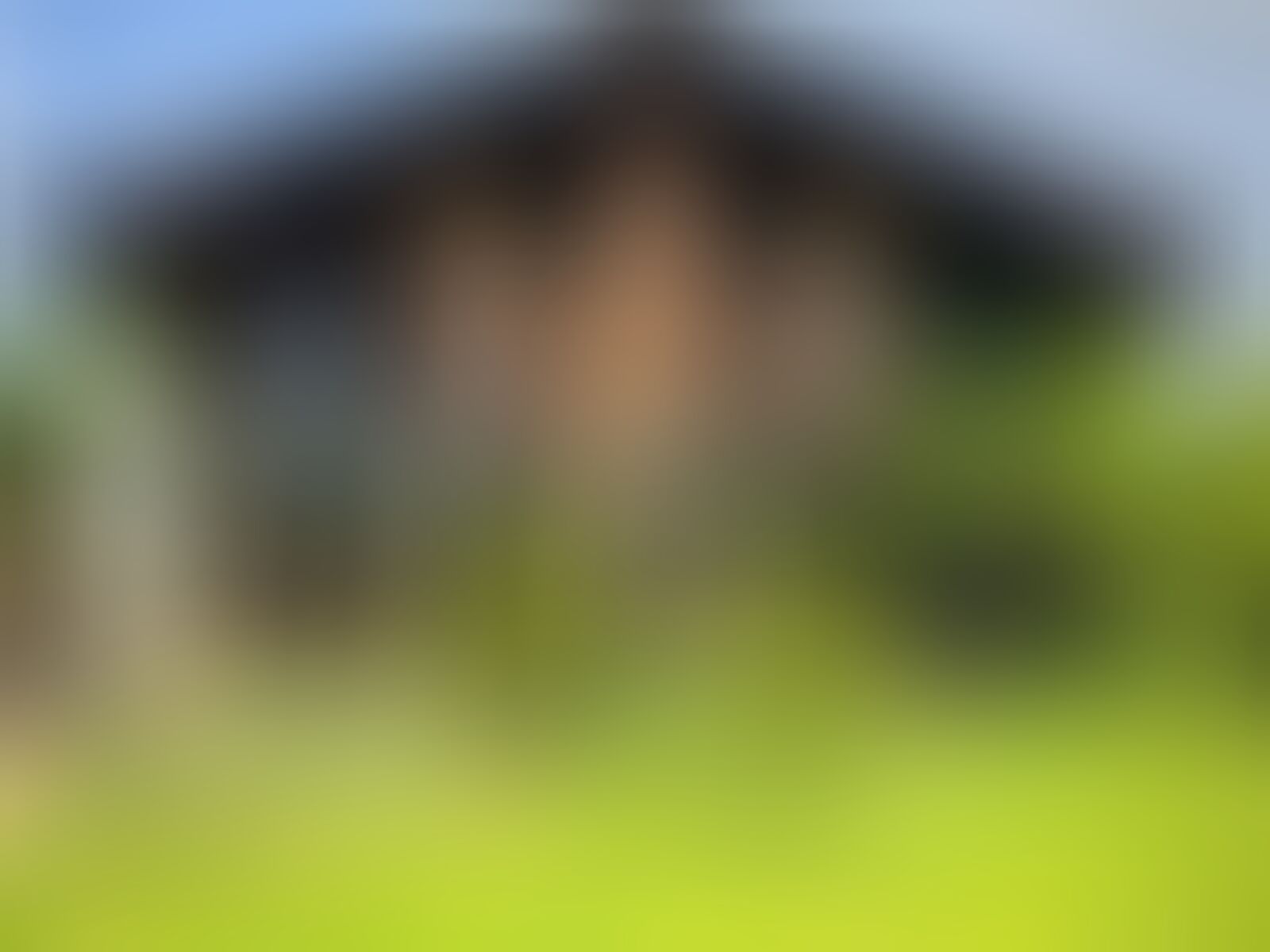A blurred image