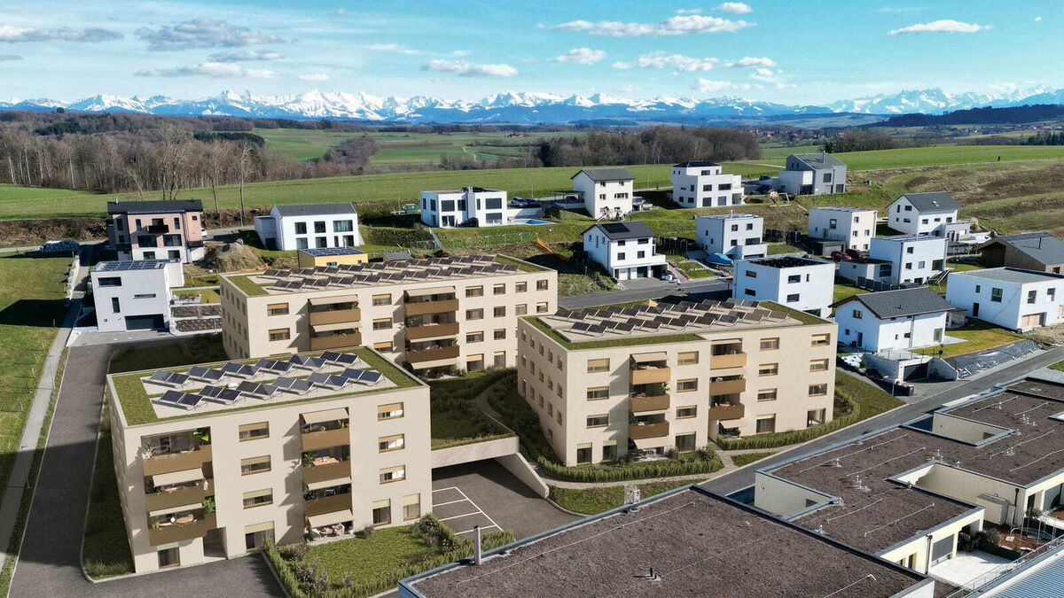 Vulliama
Murist Vulliama
Murist