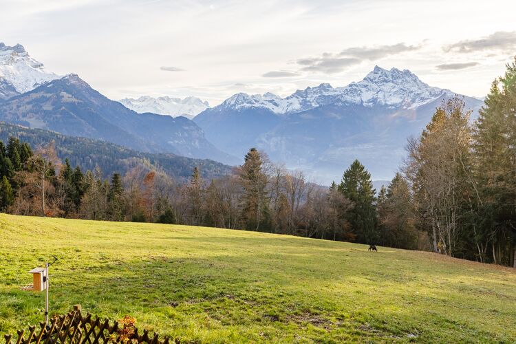 Image for Aiguilles-vertes 5 