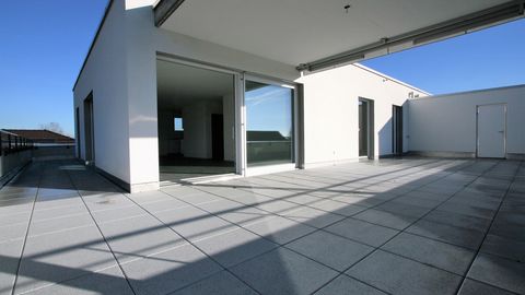 Exklusive neue 3.5-Zimmer Attikawohnung mit grosser Terrasse