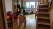 Condominium apartment CH-3971 Chermignon, Route de Ballafache 2