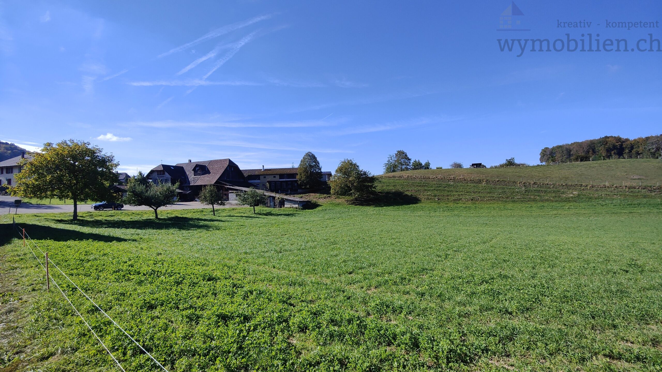 Blick aus Nordost auf das Bauernhaus mit den Nebengebäuden