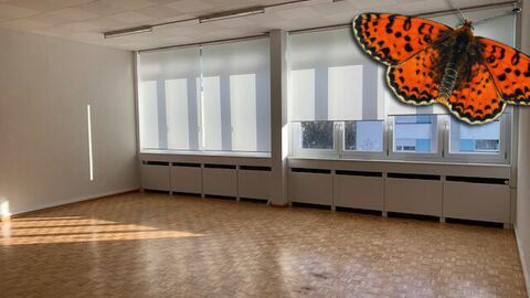 A LOUER SURFACE COMMERCIALE DE 76 m²