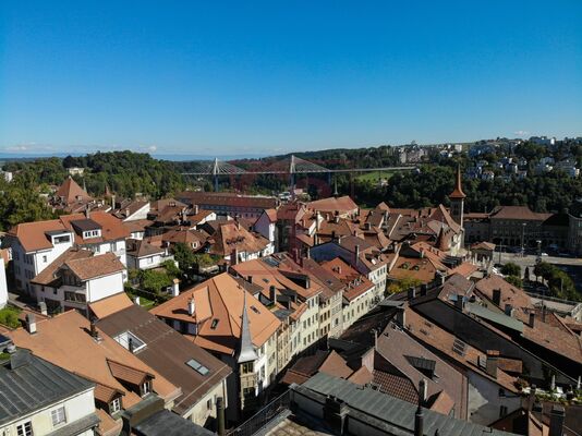 Rue de Lausanne et pont de la Poya