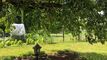 Pretty furnished studio with private terrace and access to the garden