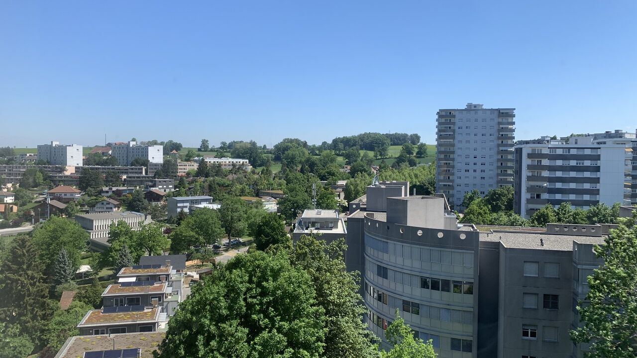 Vue
