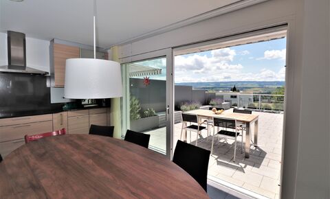 Terrassenhaus 18km von Zürich