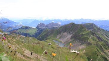 [IMG 3248]