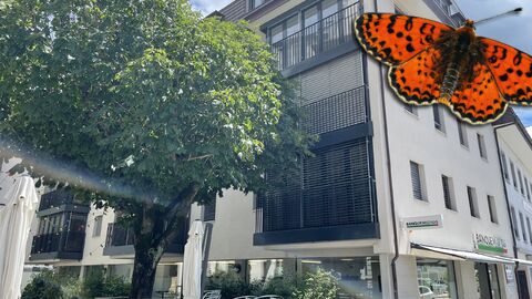Wohnung CH-1630 Bulle, Rue de Gruyères 33