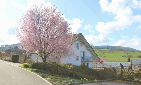 Begehrtes Raumwunder an bester Lage
7.5 Zimmer Einfamilienhaus