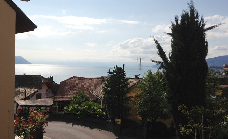 Spacieux studio 
avec vue sur le lac