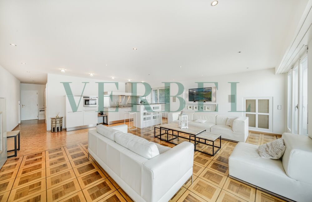 Large 3.5 room apartment + garage-box in Territet - Montreux