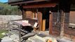 Trop tard ! chalet authentique très bien entretenu avec soleil et vue