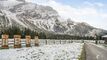 Chalet Rose : Tranquillité et Nature à La Barboleuse