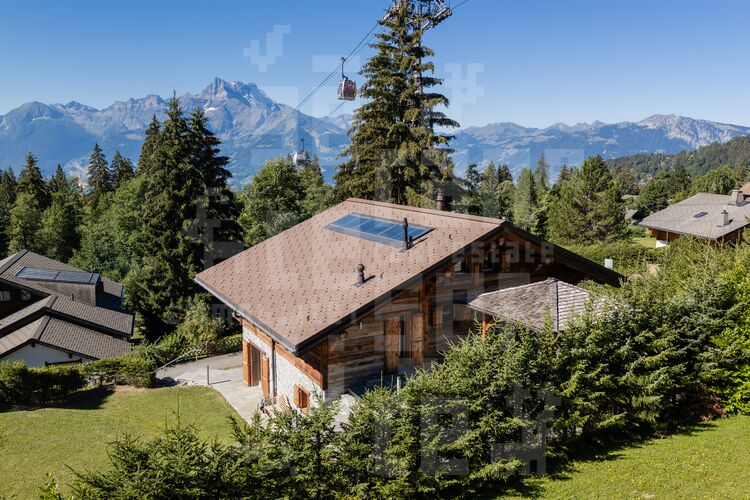 Image for Chalet Dionysia