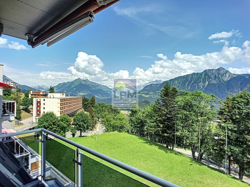 Nice apartment close to the ski slopes!