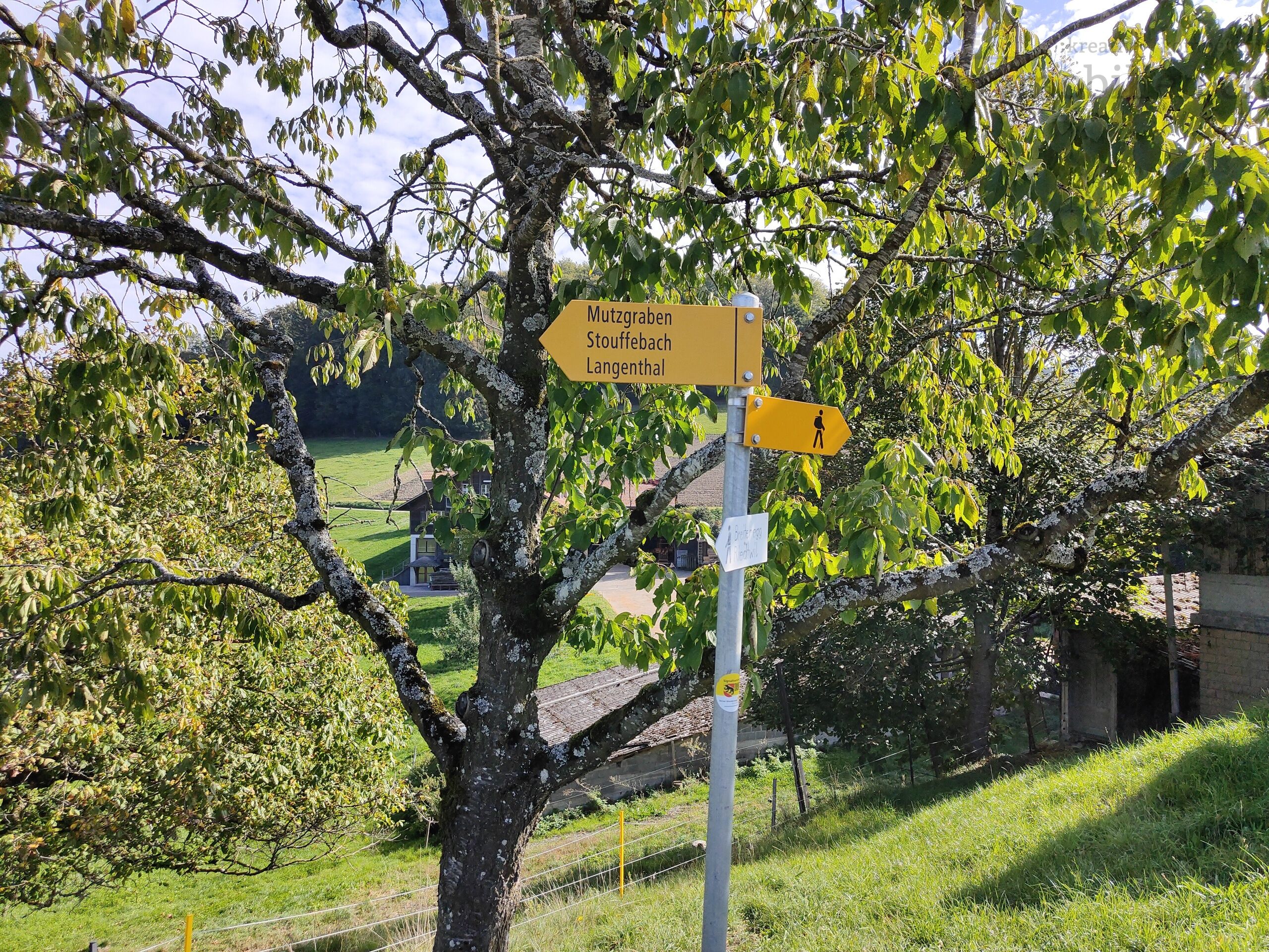 Das Bauernhaus liegt direkt im Naherholungsgebiet 