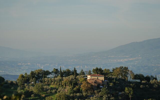Exclusive Olive Estate with Historic Oil Mill in the Heart of Tuscany