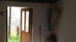 Elle est vendue : La cabane de Robin des Bois aux portes des Diablerets !
